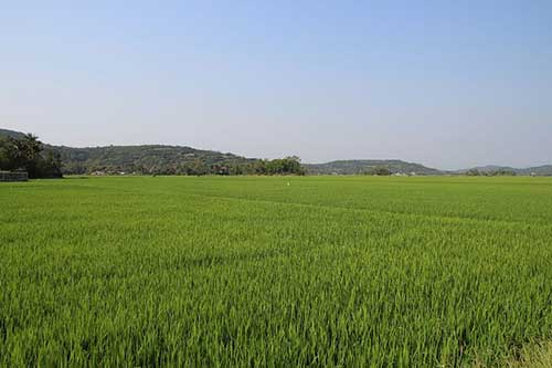 脚踏实地的干工作句子