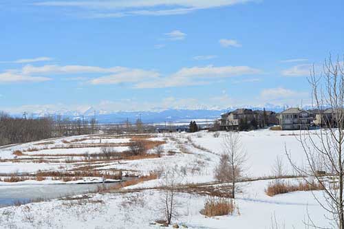 家长支持班级工作的话