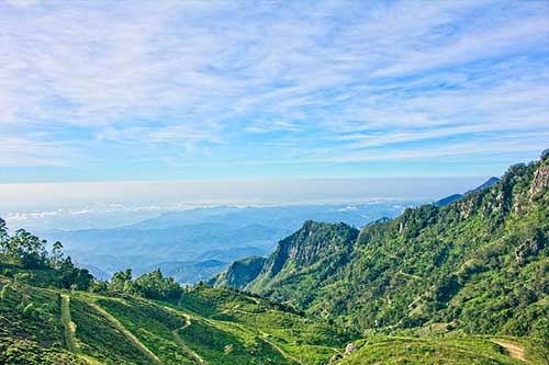 工作再累也要坚持句子