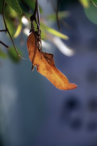 表扬成绩好的句子