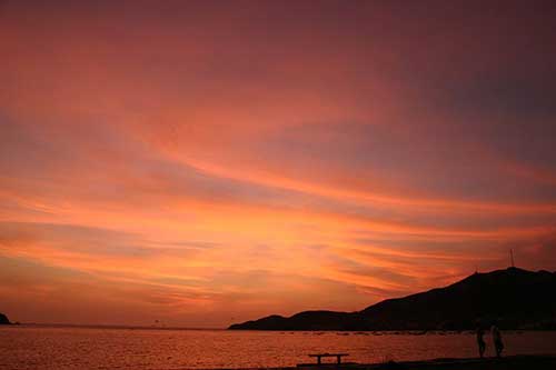 表达感受的词语有哪些