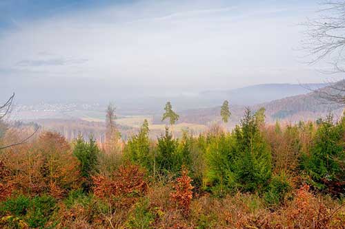 工作忙亏欠家人的句子