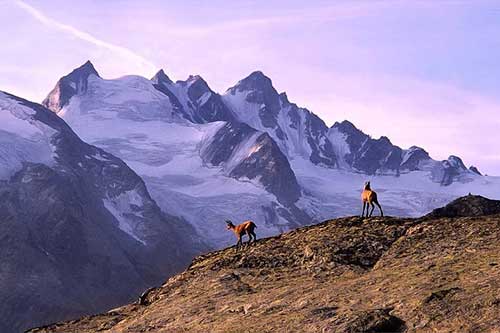 祝愿闺蜜越来越好的幽默句子