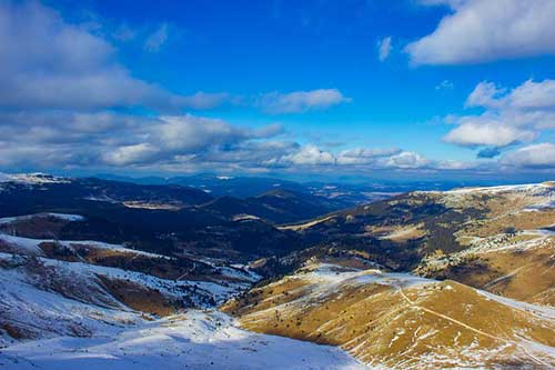 热爱自己的工作的句子