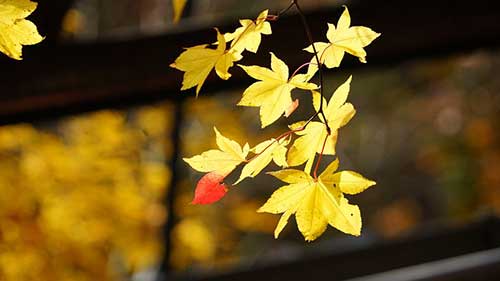 工作感悟充实一句话