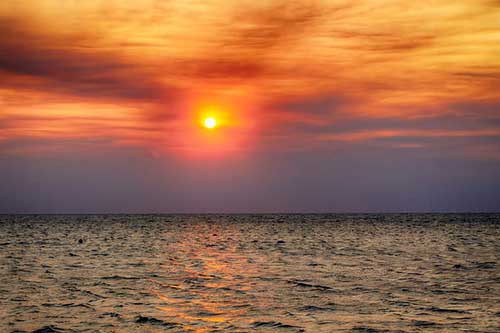 感悟读书的经典句子