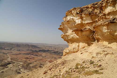 读现代诗歌的感悟