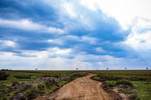 感谢盛情款待的话语