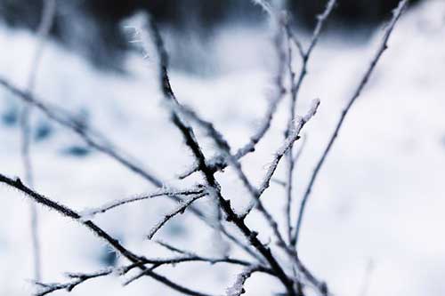 励志的句子经典语句工作