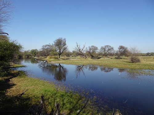 励志好好工作的句子