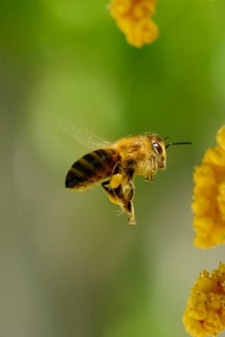 爱情入了心的人感悟句子