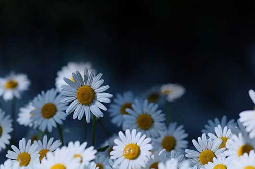 发工作朋友圈的句子