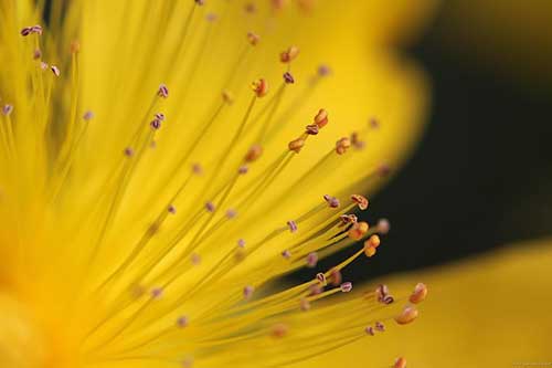 超市上班心得体会短句子