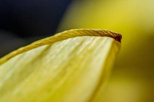 刚踏进社会的感悟句子