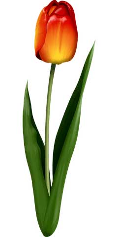 每日工作感悟精辟句子