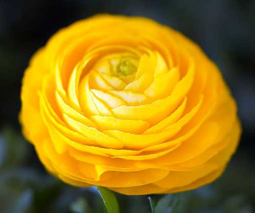 工作失误表达歉意的句子