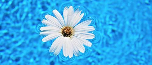 温柔诗句文案古风