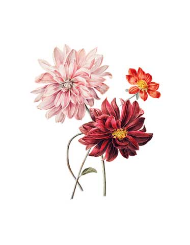 搞笑二婚经典语录