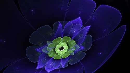 表达对邻居的感谢的话