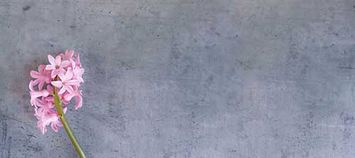 曼陀罗古风经典唯美句子