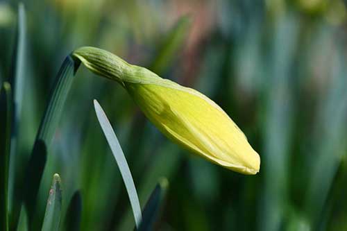 感谢别人帮助话语简短