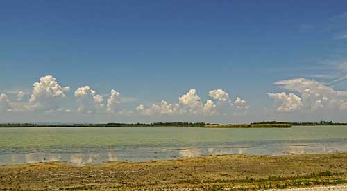 求人介绍工作的句子