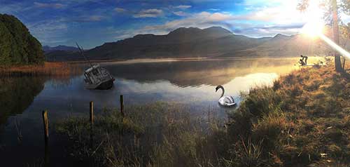 陈子昂怀才不遇的诗句