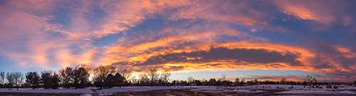 感受春天的气息的句子