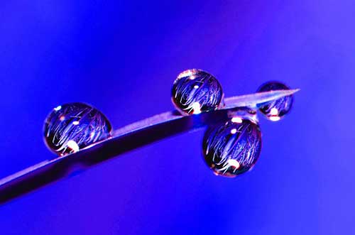 古风国潮经典句子