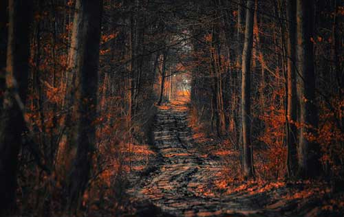 工作从不懂到懂的句子