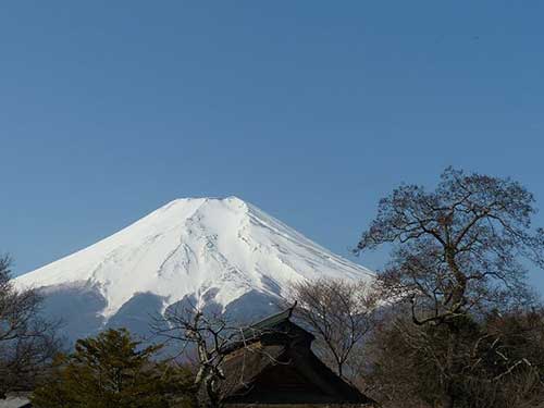 美丽风景句子