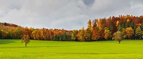 工作早安语录正能量