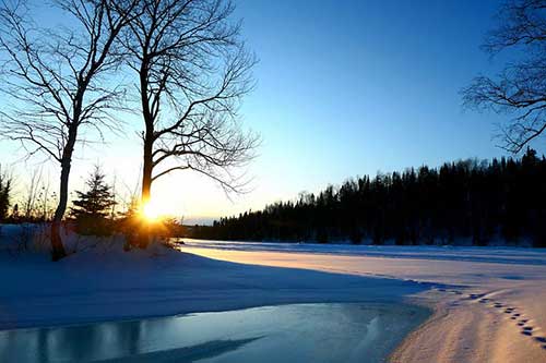 成人成长感悟的句子