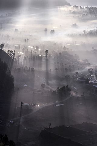 看美丽的风景的句子