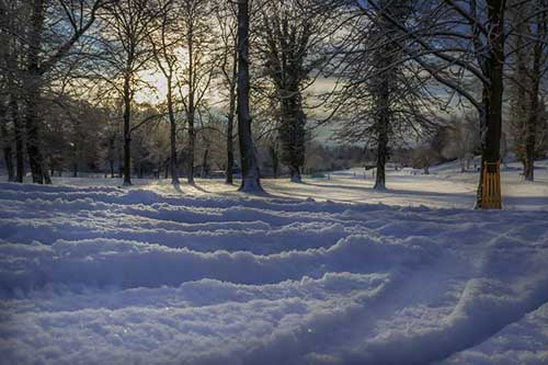感恩阳光的句子