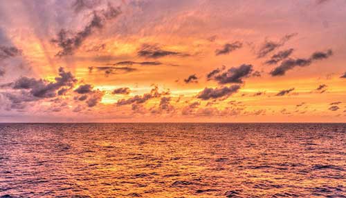 搞笑骂人的话顺口溜