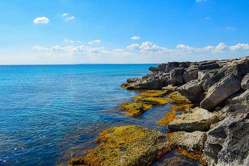 感受大西北的句子