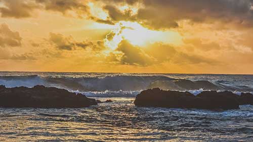 对女性工作的赞美句子