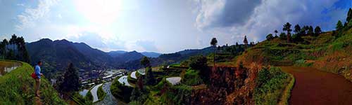 感情重新开始的句子