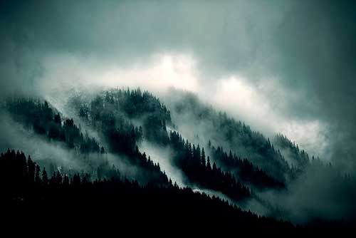 暗示即将离开工作的句子