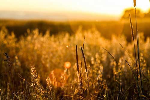 爸爸上班辛苦的句子