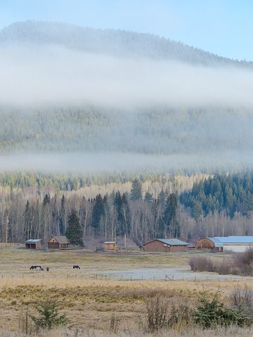 断舍离对爱情感悟句子