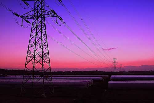 领导对工作的肯定句子