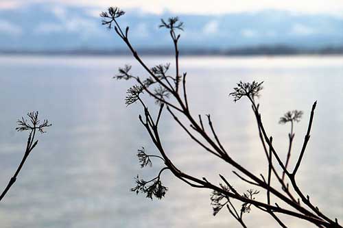 感谢感恩的感动人心句子