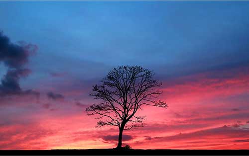 感悟感动的句子