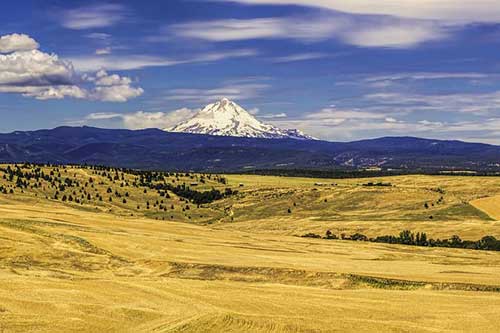 地震后的感想的语句