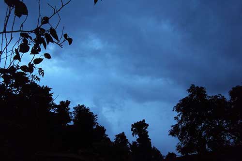 工作感谢话语简短真诚