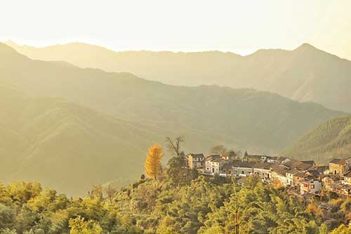 工作三十年感言名句