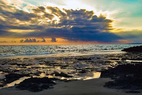 感恩老师句子经典语录短