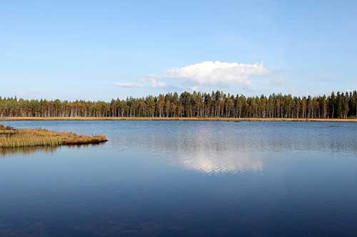 穿貂皮的搞笑句子